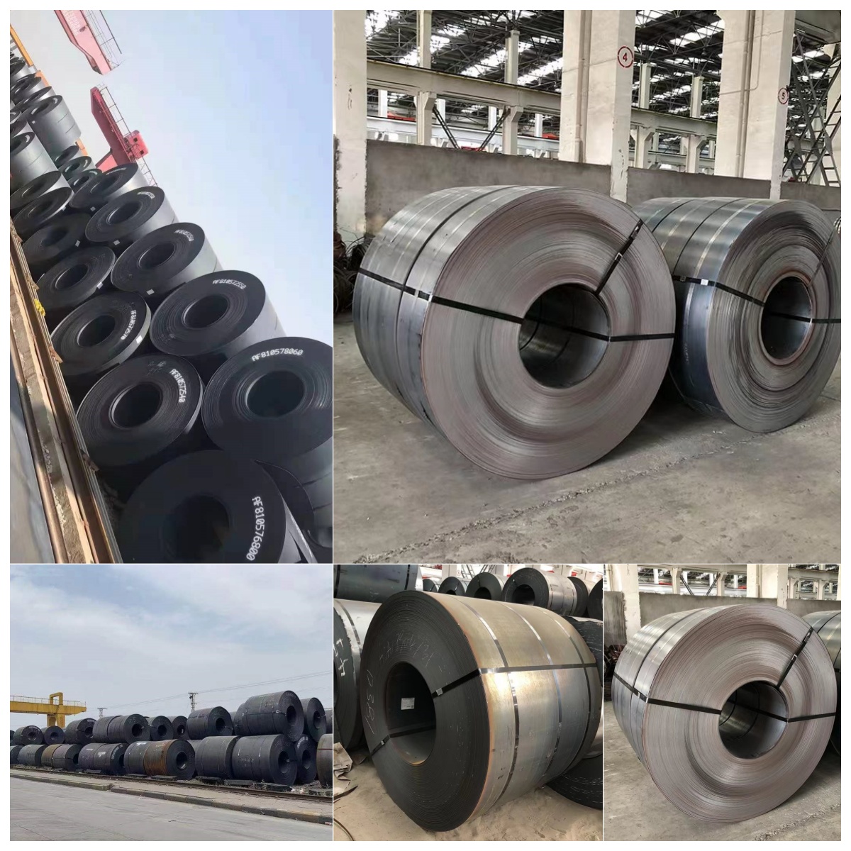 M.S Coil 5拼 M.S Coil 5拼